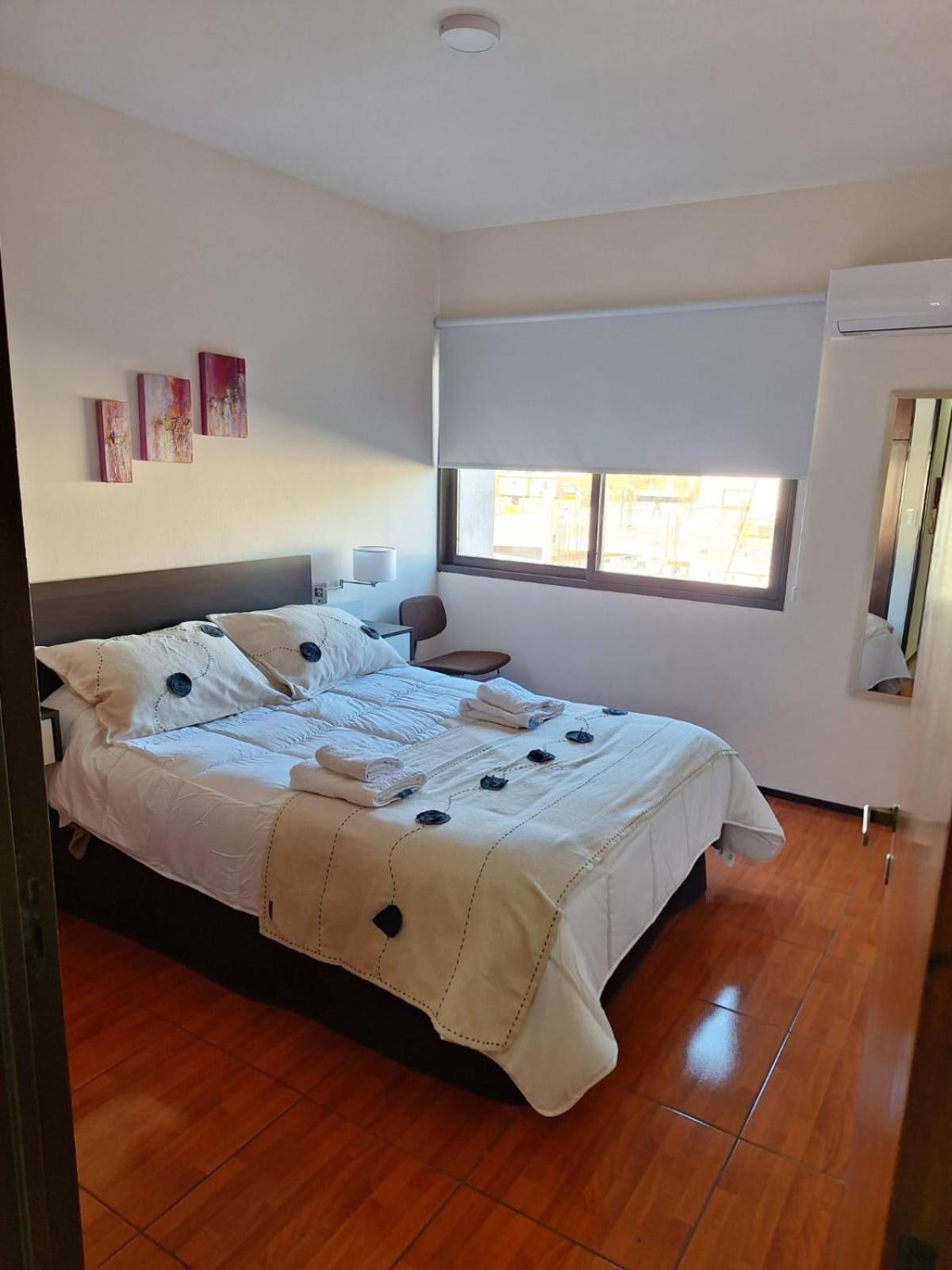 Centro Apartment Mendoza